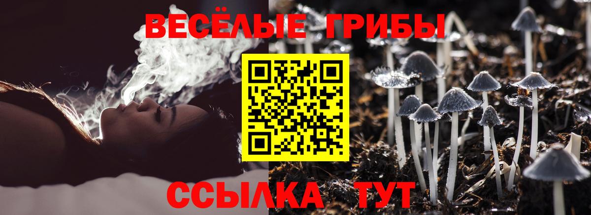 Галлюциногенные грибы Cubensis Заволжье